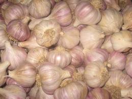 Cameroon Fresh White Garlic