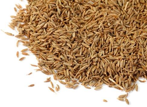 Cumin Seeds