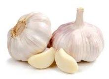 Fresh garlic, Application : Snacks, Fast Food, Cooking