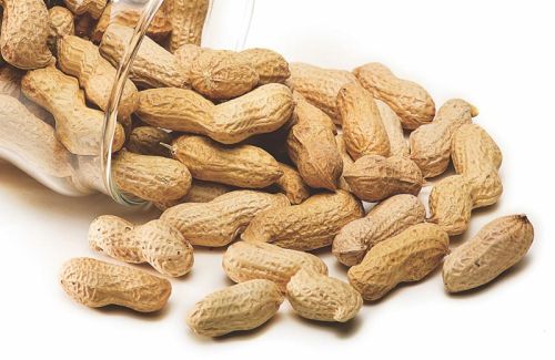 Shelled Groundnuts