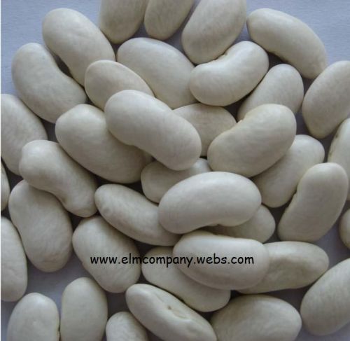 White kidney beans