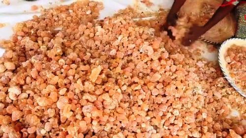 Gum Arabic, Shelf Life : 2-3 year