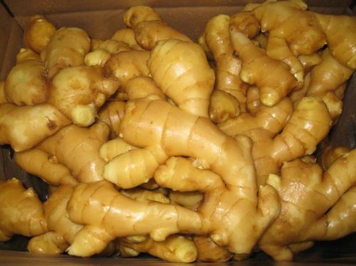 Fresh ginger, High In Gingerol