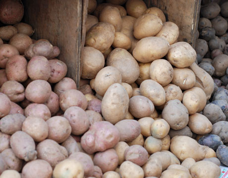 Fresh potatoes