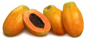 Fresh papaya, Country of Origin : India