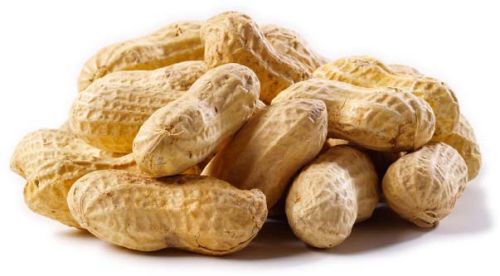 Shelled Groundnuts, Application : Snacking, Cooking, Baking