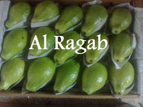 Fresh guava, Usage : Sweet