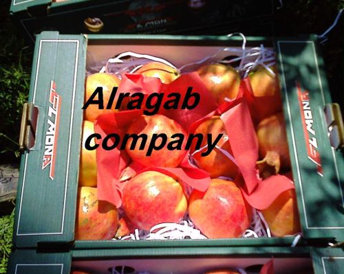 Fresh pomegranate, Storage : Refrigerate