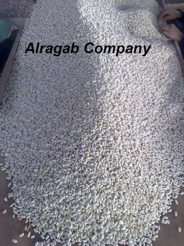 White kidney beans, Packaging Type : Jute Bag