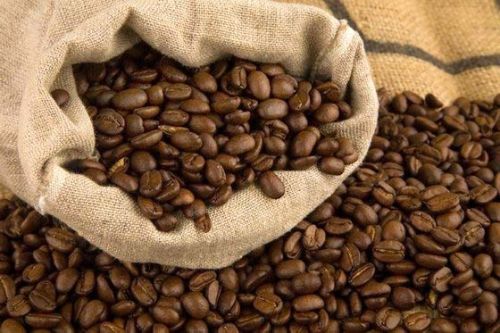 Arabica coffee beans Form : Seeds