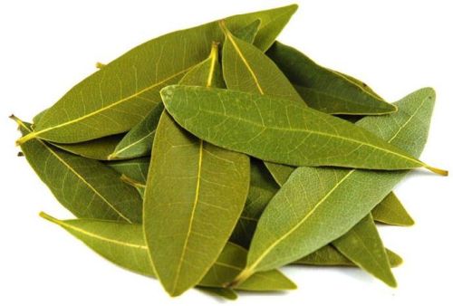 Bay Leaf