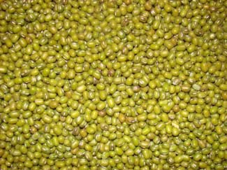Green moong dal, Storage Instructions : Dry Place