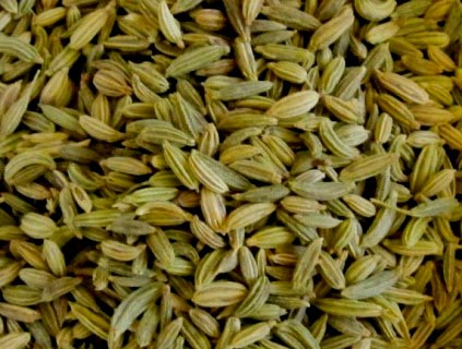 Fennel Seeds