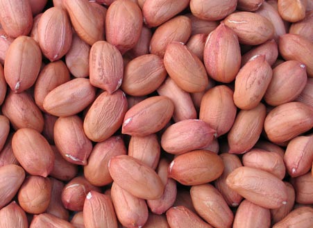 Groundnut Kernels