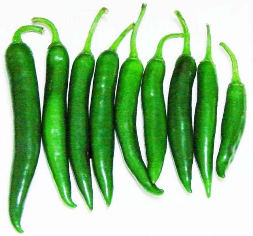 Fresh Green Chilli