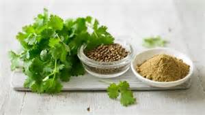 Coriander Seeds