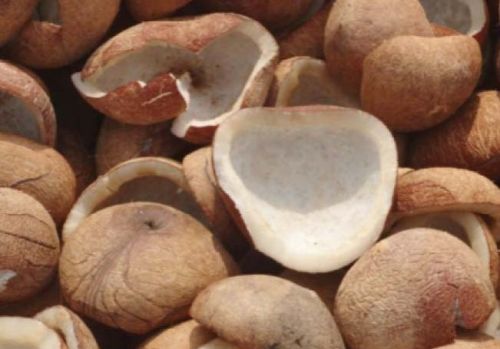 Coconut copra, Application : Cosmetics, Pooja