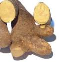 Fresh Yellow Yam