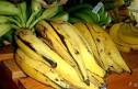 Plantain