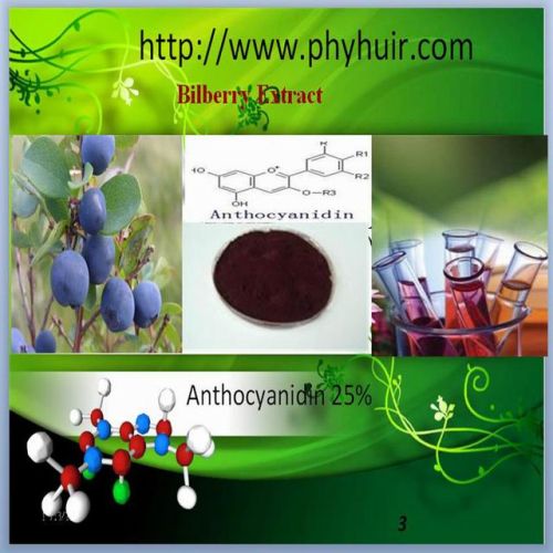 Bilberry Fruit Extract