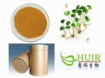 Hydrocotyle Asiatica Extract, Brand Name : HUIR