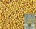 Soybean P E, Brand Name : HUIR