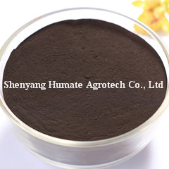Humic Acid Powder, Brand Name : HuminRich