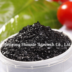HuminRich Potassium Fulvic Humate