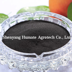 Potassium Humate Powder, Brand Name : HuminRich