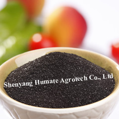 Seaweed Extract Powder, Brand Name : HuminRich