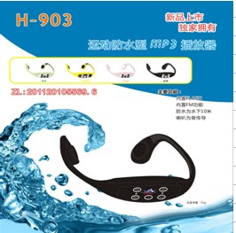 Swimming Waterproof Mp3 Player