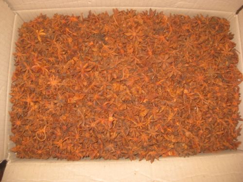 Star Aniseed 13.5%, Packaging Type : Natural reddish