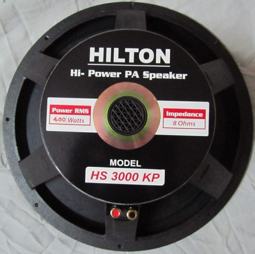 Professional PA Speaker