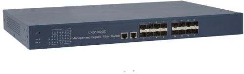 Electric Gigabit Fiber Switch