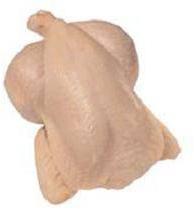 Halal Frozen Chicken, Brand Name : AEG