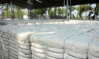 Raw Cotton Bales