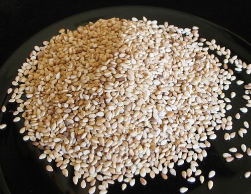 Sesame seeds, Container Size : 20 Feet Container
