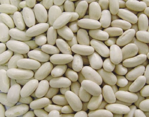 White kidney beans, Storage : Cool, Dry Place