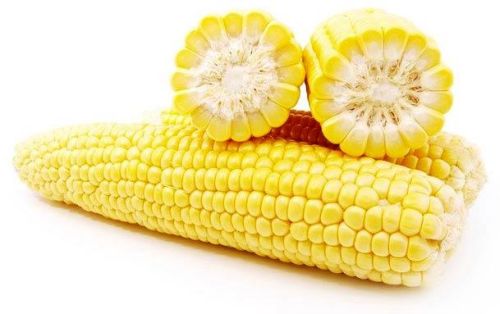 Yellow maize seeds, Country of Origin : India