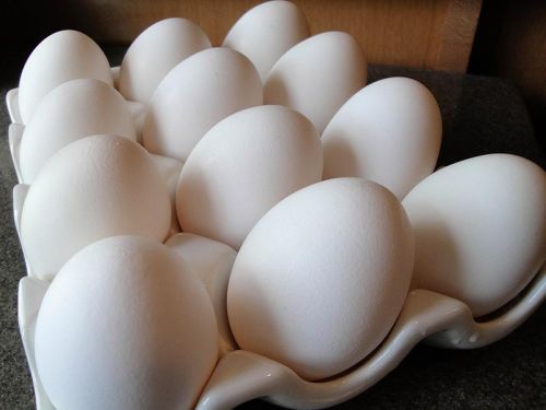 Poultry Eggs, Protein : 0-4gm