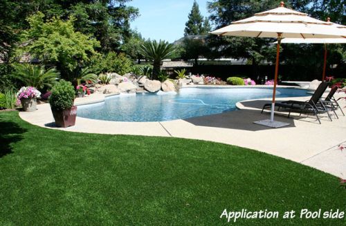 Landscape Turf Artificial Grass