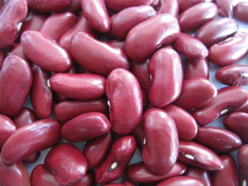Kidney beans, Packaging Type : Jute Bag