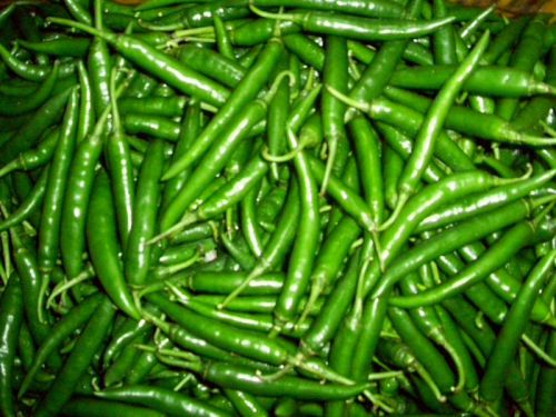 Green Chilli