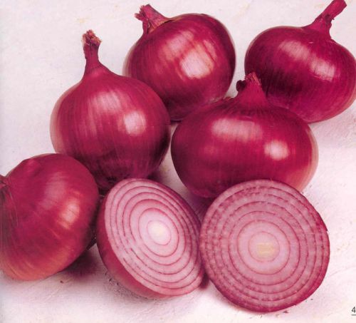 Onion, Color : Red