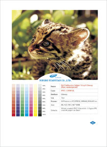 260 Eco Solvent Photo Paper, Brand Name : YUANYUAN