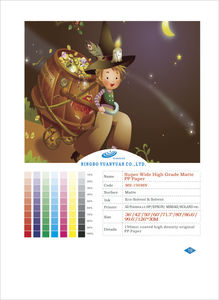 Hot Eco Solvent 190 PP Banner