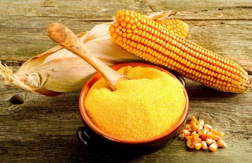 Round Natural Yellow Maize Seeds, For Human Food, Variety : Dent Corn