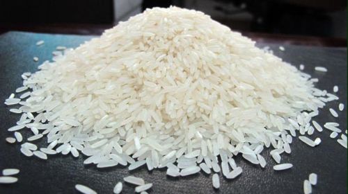 Organic Non Basmati Rice, Shelf Life : 6 Months