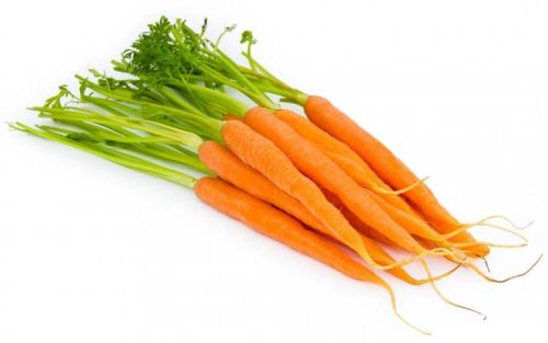 Fresh Carrot