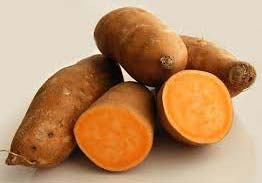 Fresh Sweet Potato